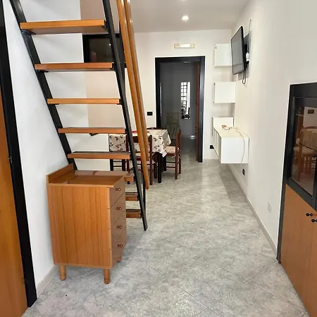 Magenta49 Bernalda